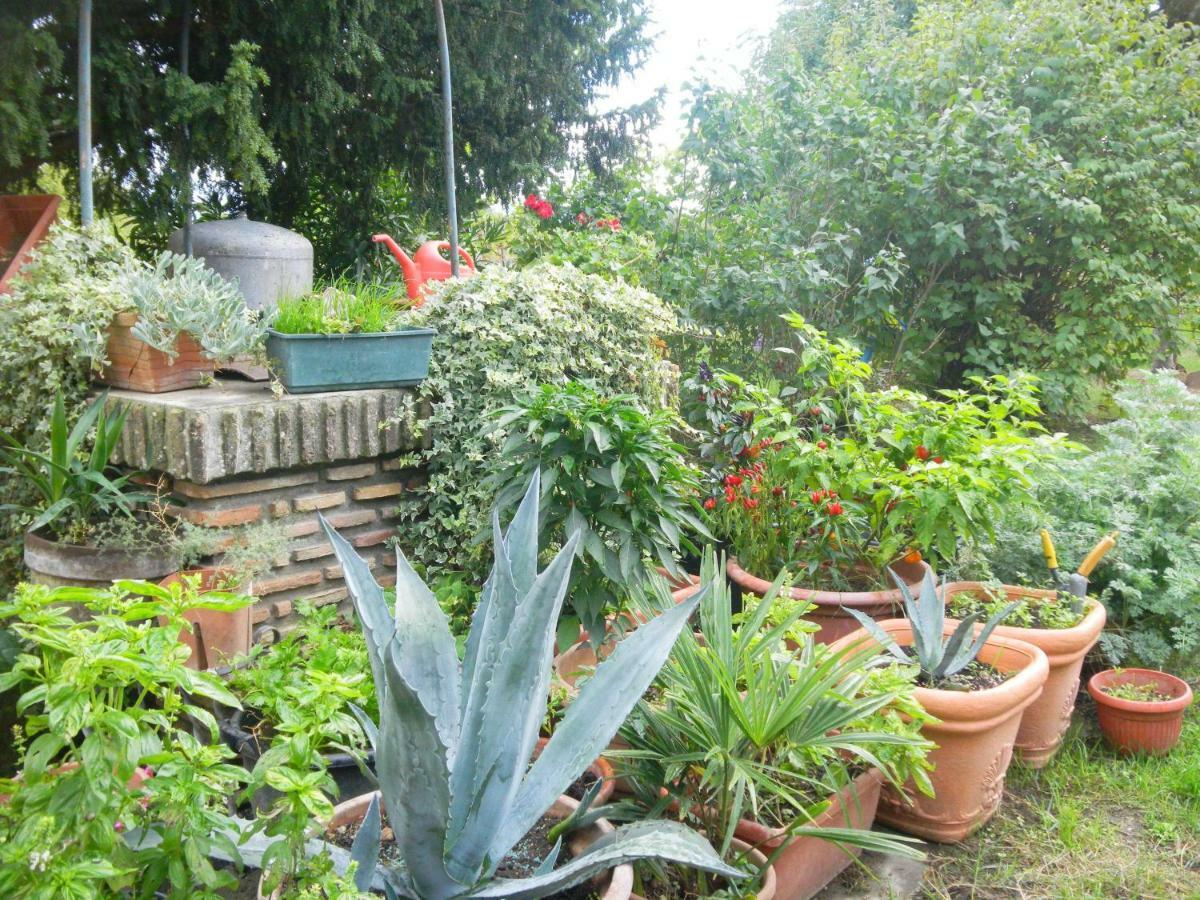 Appartamento Danilla Maratello Exterior photo